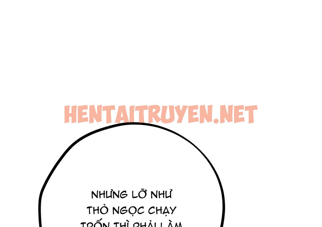 Xem ảnh Những Chú Thỏ Của Hapypy - Chap 21 - img_069_1646073342 - TruyenVN.APP