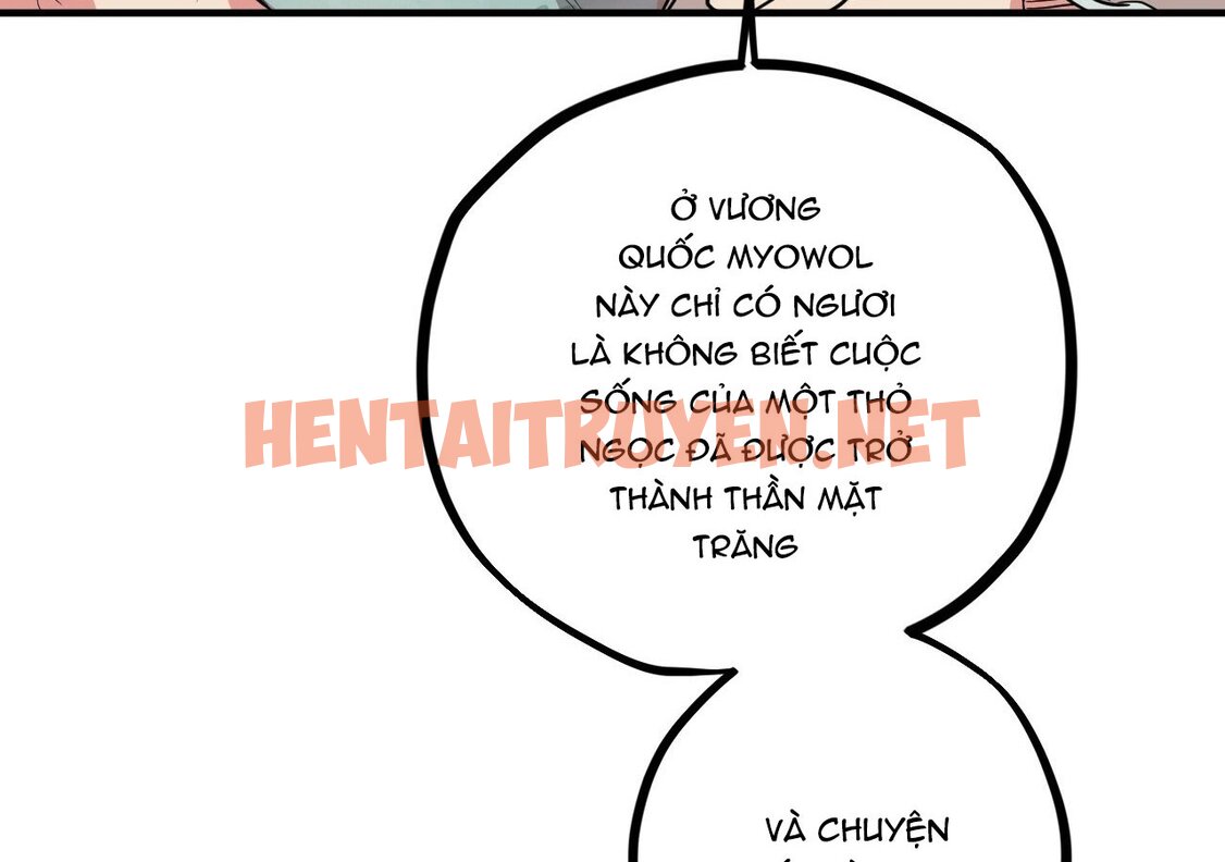 Xem ảnh Những Chú Thỏ Của Hapypy - Chap 21 - img_159_1646073538 - TruyenVN.APP