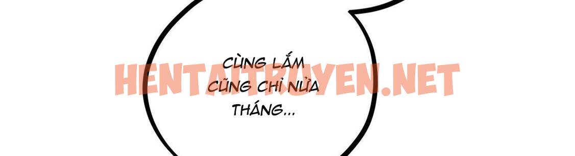 Xem ảnh Những Chú Thỏ Của Hapypy - Chap 22 - img_387_1646506006 - TruyenVN.APP