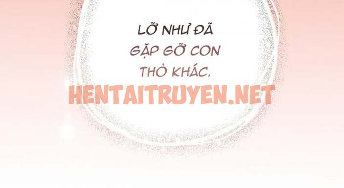 Xem ảnh Những Chú Thỏ Của Hapypy - Chap 23.5 - img_011_1647417110 - HentaiTruyen.net