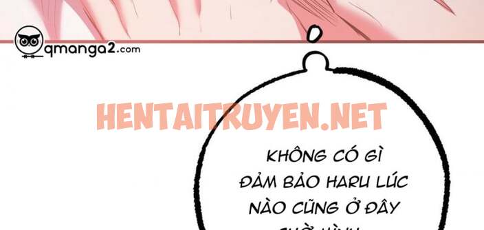 Xem ảnh Những Chú Thỏ Của Hapypy - Chap 23.5 - img_082_1647417113 - HentaiTruyen.net