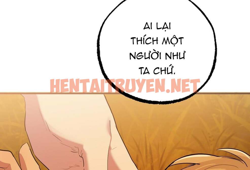 Xem ảnh Những Chú Thỏ Của Hapypy - Chap 24 - img_179_1647747562 - HentaiTruyenVN.net