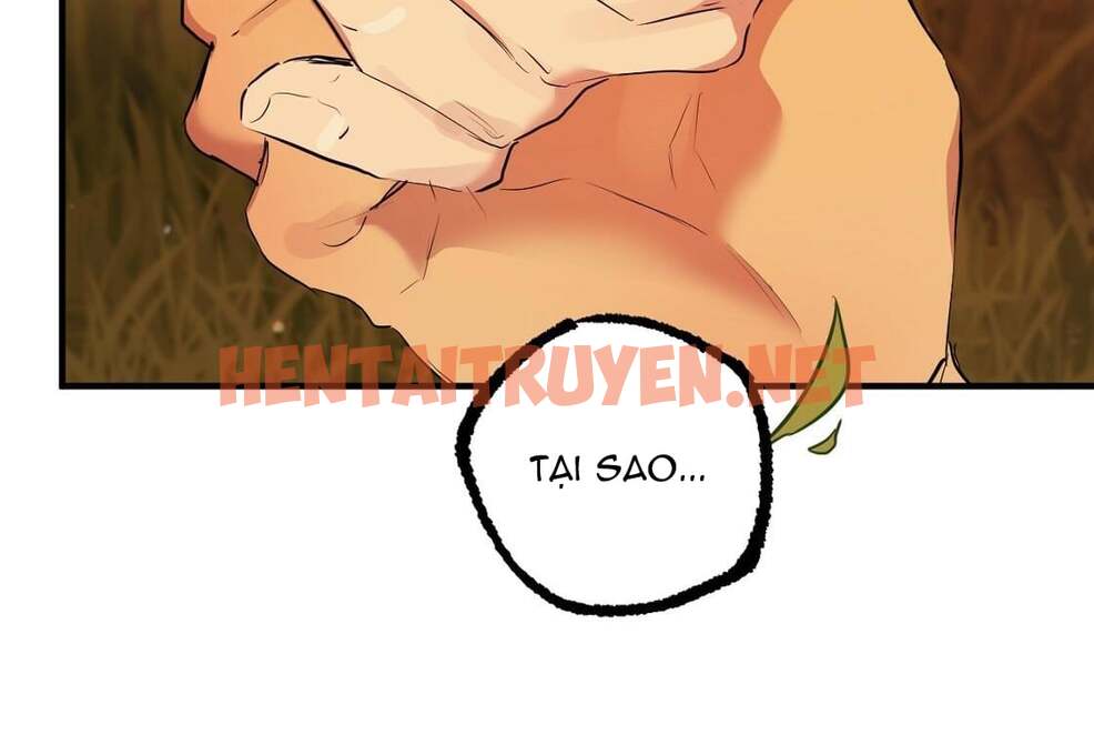 Xem ảnh Những Chú Thỏ Của Hapypy - Chap 24 - img_183_1647747571 - TruyenVN.APP