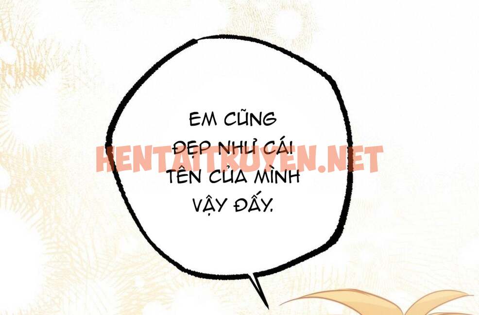 Xem ảnh Những Chú Thỏ Của Hapypy - Chap 24 - img_224_1647747653 - HentaiTruyen.net