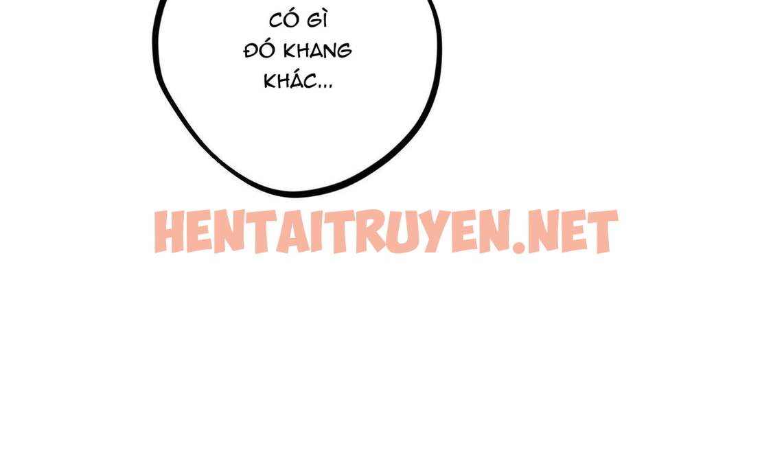 Xem ảnh Những Chú Thỏ Của Hapypy - Chap 25 - img_142_1648329275 - HentaiTruyenVN.net