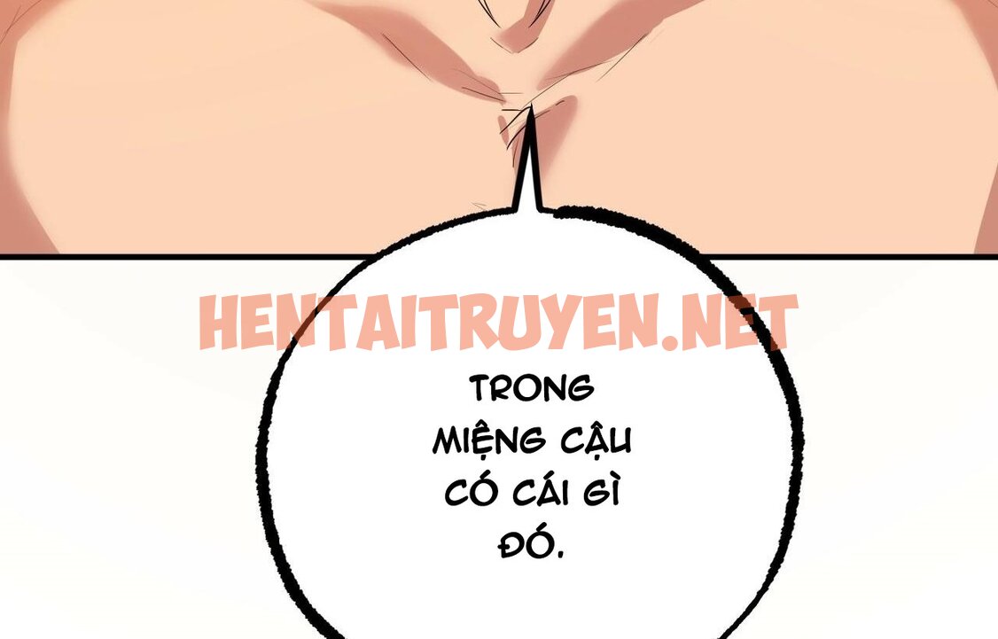 Xem ảnh Những Chú Thỏ Của Hapypy - Chap 26 - img_070_1648928581 - TruyenVN.APP