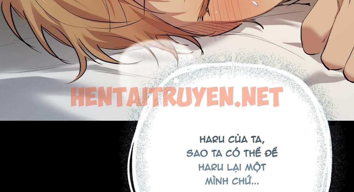 Xem ảnh Những Chú Thỏ Của Hapypy - Chap 27 - img_088_1649570806 - TruyenVN.APP