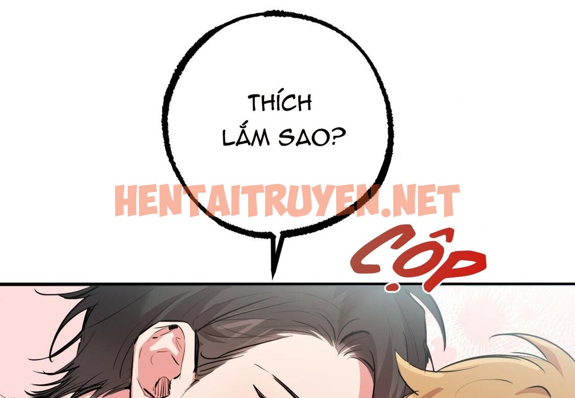 Xem ảnh Những Chú Thỏ Của Hapypy - Chap 29 - img_023_1650765852 - HentaiTruyen.net