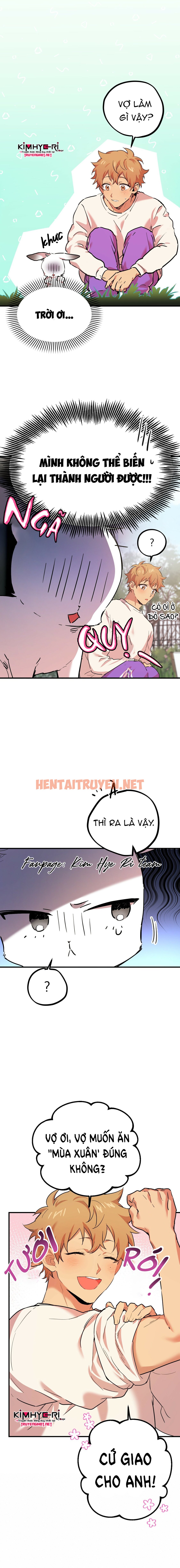 Xem ảnh Những Chú Thỏ Của Hapypy - Chap 3 - img_008_1638256864 - TruyenVN.APP