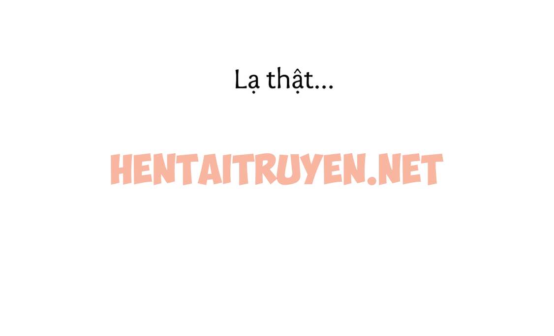 Xem ảnh Những Chú Thỏ Của Hapypy - Chap 30 - img_006_1651375935 - TruyenVN.APP