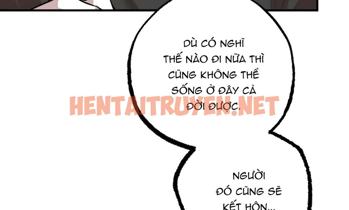 Xem ảnh Những Chú Thỏ Của Hapypy - Chap 30 - img_206_1651376317 - TruyenVN.APP