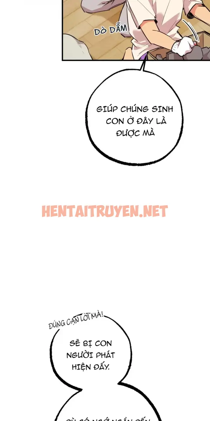 Xem ảnh Những Chú Thỏ Của Hapypy - Chap 31 - img_004_1652065578 - TruyenVN.APP