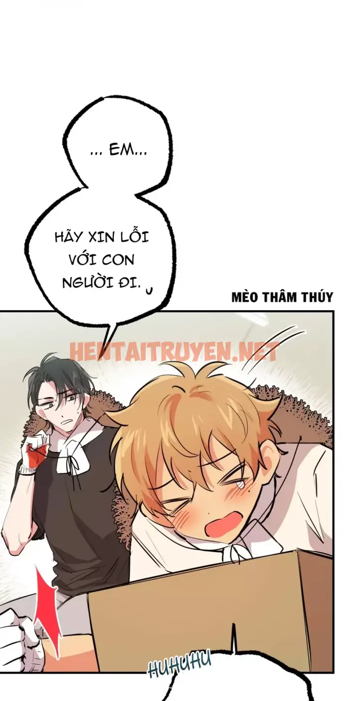 Xem ảnh Những Chú Thỏ Của Hapypy - Chap 31 - img_010_1652065579 - TruyenVN.APP