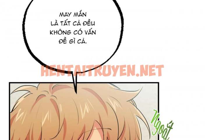 Xem ảnh Những Chú Thỏ Của Hapypy - Chap 32 - img_012_1652667153 - TruyenVN.APP