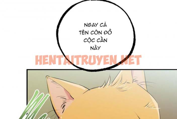 Xem ảnh Những Chú Thỏ Của Hapypy - Chap 32 - img_030_1652667154 - TruyenVN.APP