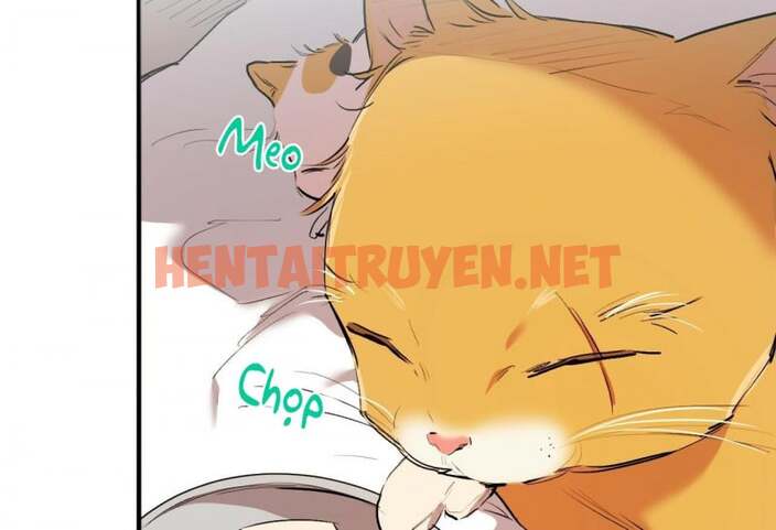 Xem ảnh Những Chú Thỏ Của Hapypy - Chap 32 - img_071_1652667156 - TruyenVN.APP