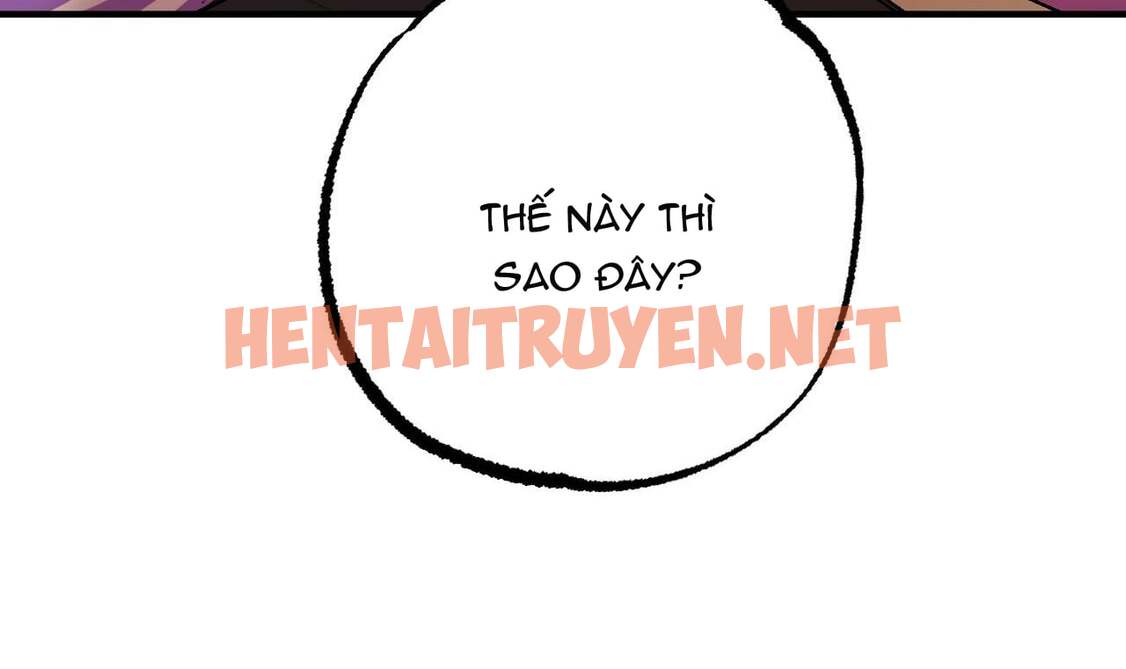 Xem ảnh Những Chú Thỏ Của Hapypy - Chap 33 - img_050_1653158064 - HentaiTruyenVN.net