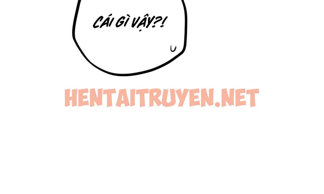 Xem ảnh Những Chú Thỏ Của Hapypy - Chap 33 - img_078_1653158113 - HentaiTruyen.net