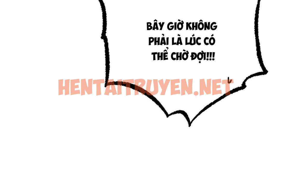 Xem ảnh Những Chú Thỏ Của Hapypy - Chap 33 - img_239_1653158413 - HentaiTruyenVN.net