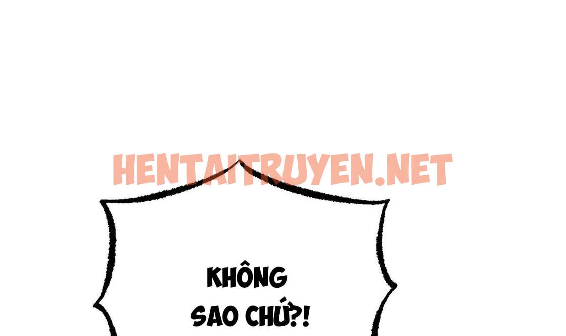 Xem ảnh Những Chú Thỏ Của Hapypy - Chap 33 - img_252_1653158438 - HentaiTruyen.net