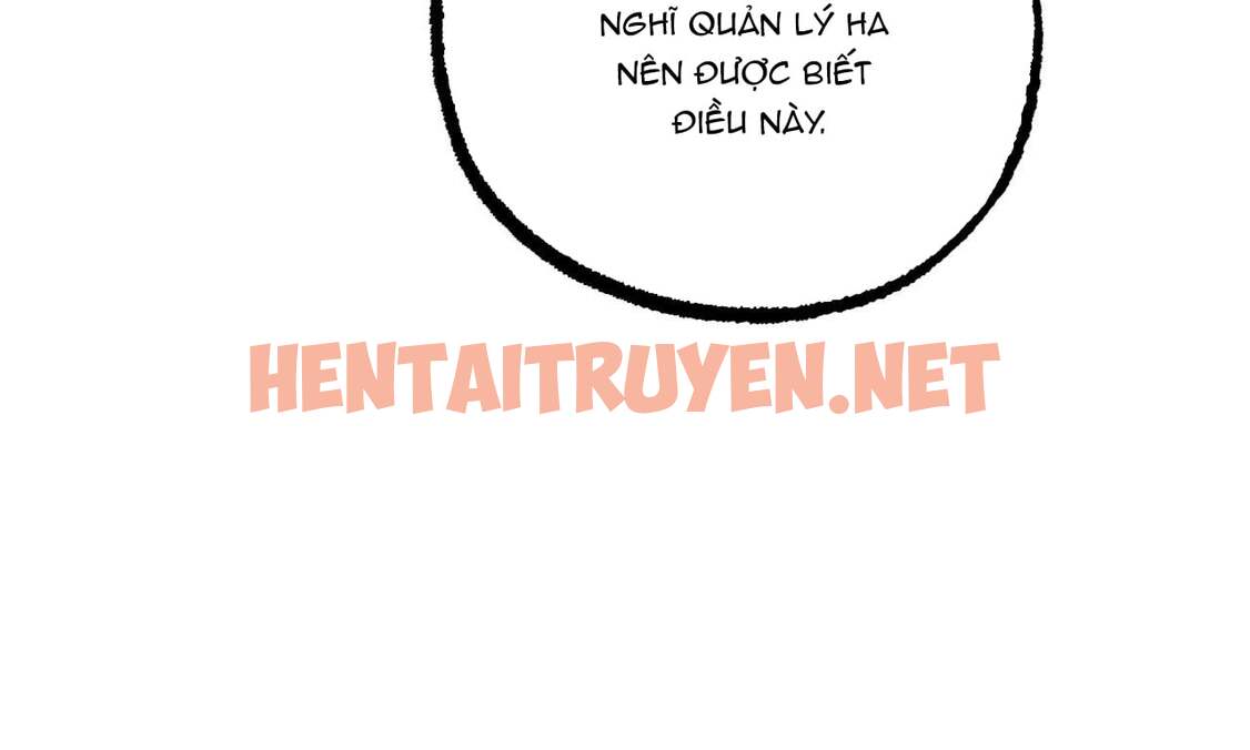 Xem ảnh Những Chú Thỏ Của Hapypy - Chap 34 - img_015_1653800937 - HentaiTruyen.net