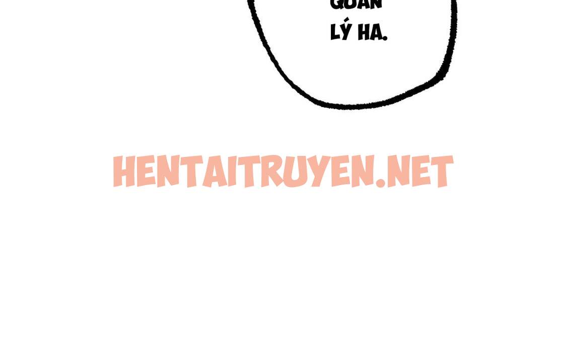 Xem ảnh Những Chú Thỏ Của Hapypy - Chap 34 - img_019_1653800944 - HentaiTruyenVN.net