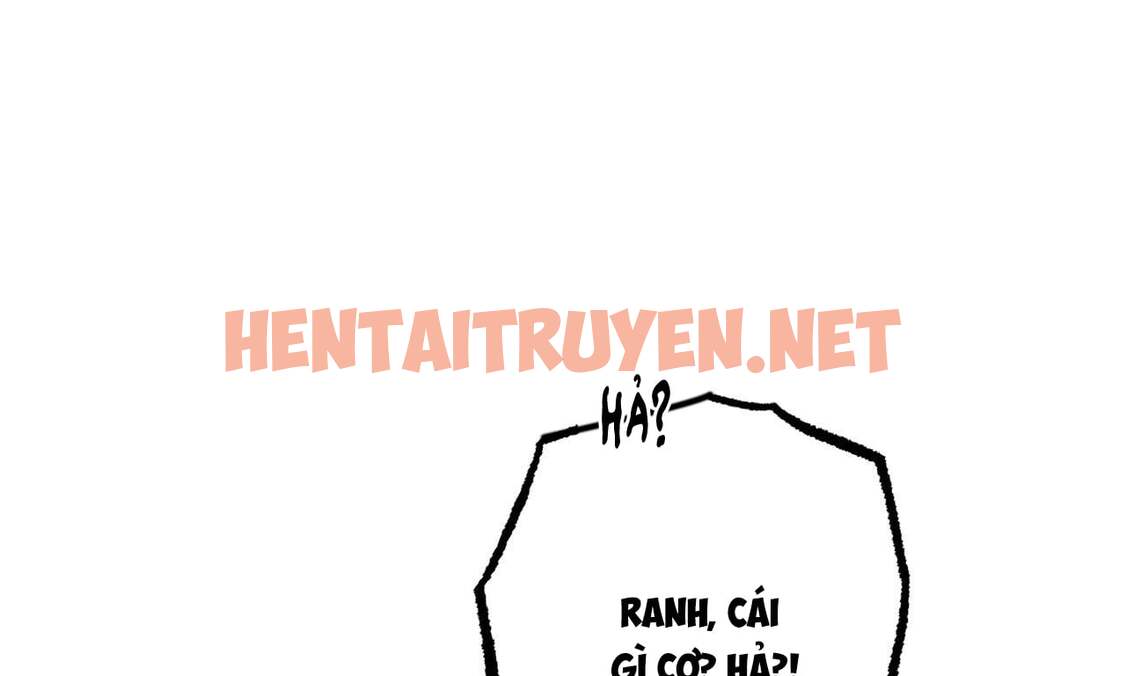 Xem ảnh Những Chú Thỏ Của Hapypy - Chap 34 - img_024_1653800952 - TruyenVN.APP