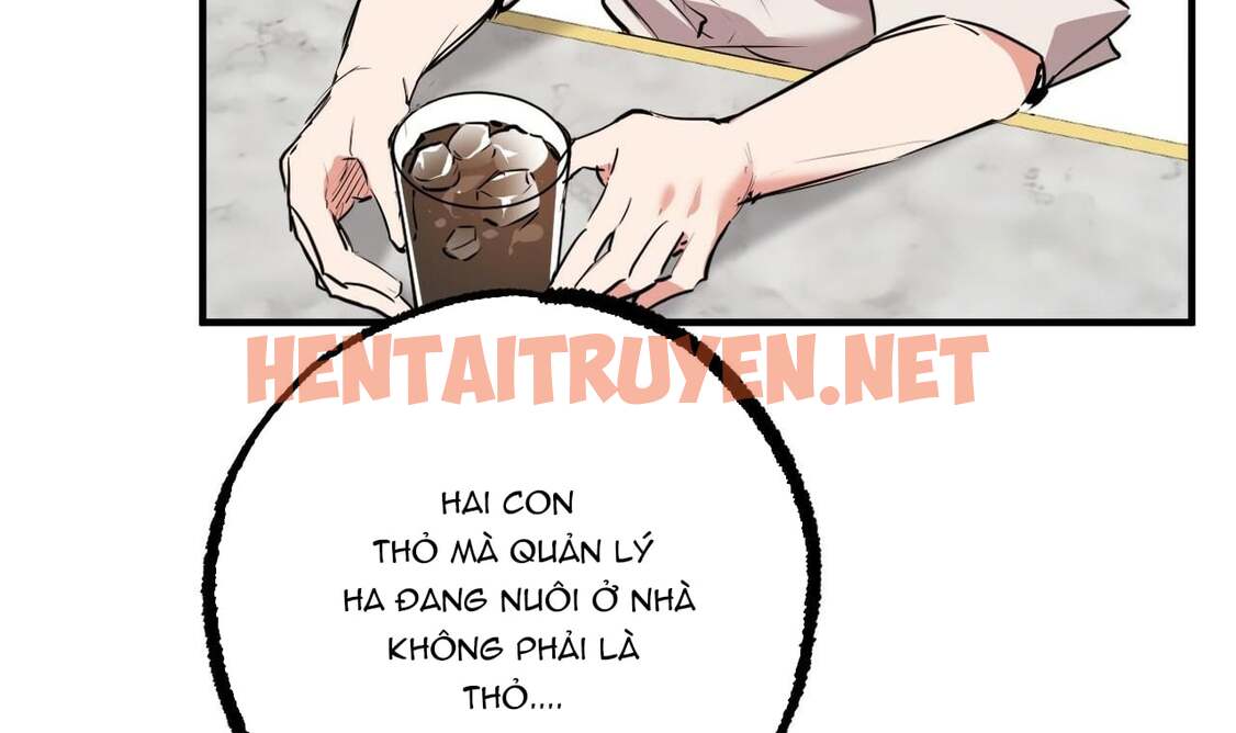 Xem ảnh Những Chú Thỏ Của Hapypy - Chap 34 - img_033_1653800967 - HentaiTruyenVN.net