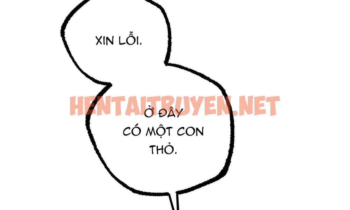 Xem ảnh Những Chú Thỏ Của Hapypy - Chap 35 - img_016_1654362264 - HentaiTruyenVN.net