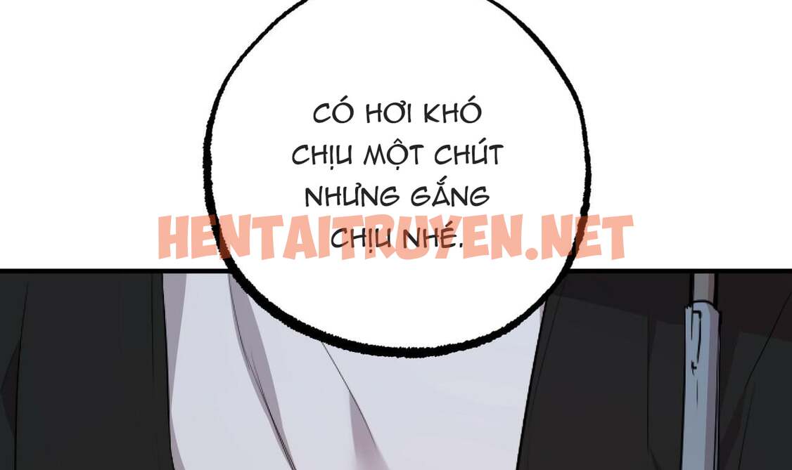 Xem ảnh Những Chú Thỏ Của Hapypy - Chap 35 - img_031_1654362286 - HentaiTruyenVN.net