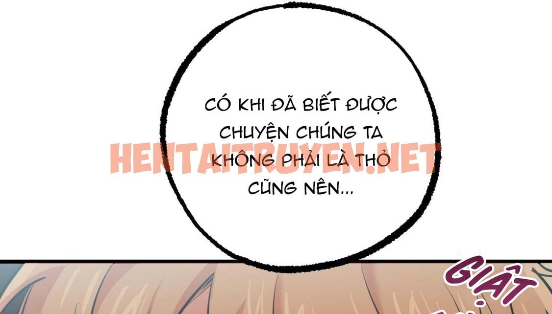 Xem ảnh Những Chú Thỏ Của Hapypy - Chap 35 - img_114_1654362407 - HentaiTruyen.net