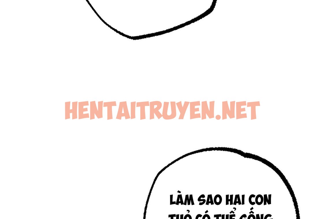 Xem ảnh Những Chú Thỏ Của Hapypy - Chap 35 - img_164_1654362479 - HentaiTruyenVN.net