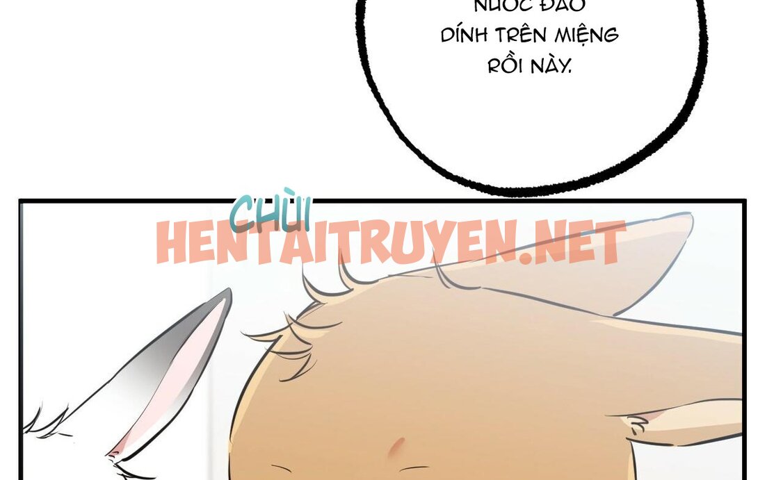 Xem ảnh Những Chú Thỏ Của Hapypy - Chap 36 - img_014_1655008735 - HentaiTruyenVN.net