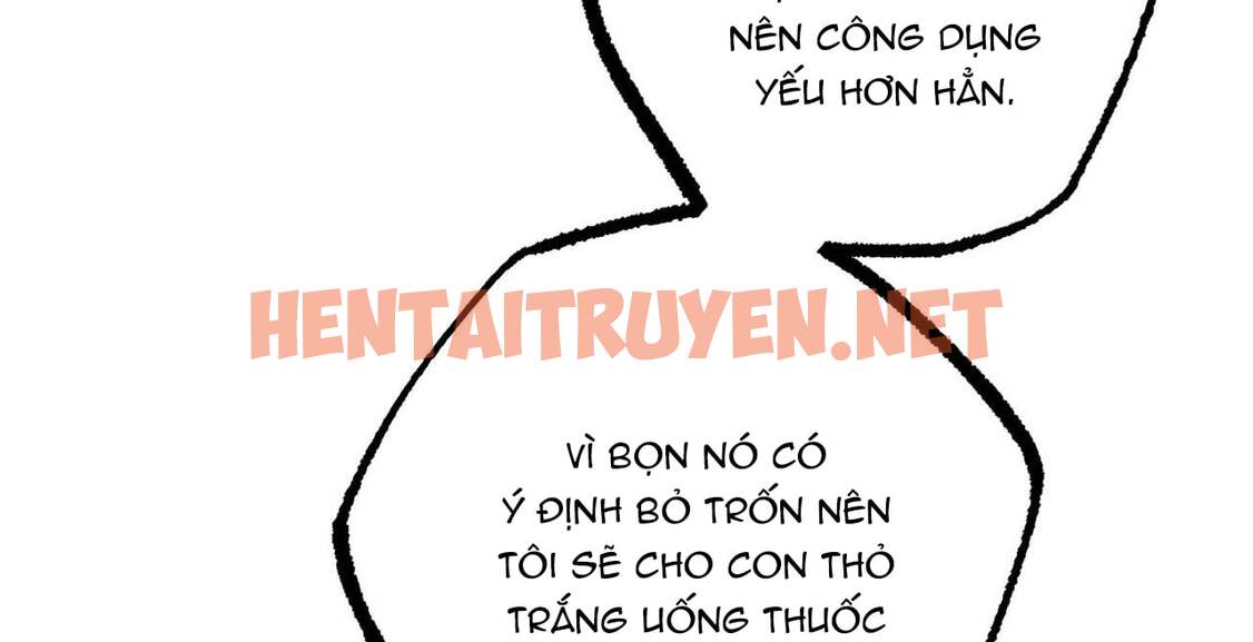 Xem ảnh Những Chú Thỏ Của Hapypy - Chap 36 - img_134_1655008941 - HentaiTruyen.net