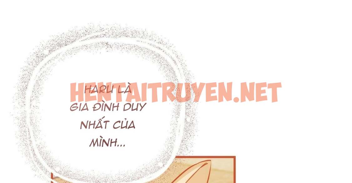 Xem ảnh Những Chú Thỏ Của Hapypy - Chap 36 - img_346_1655009323 - HentaiTruyenVN.net