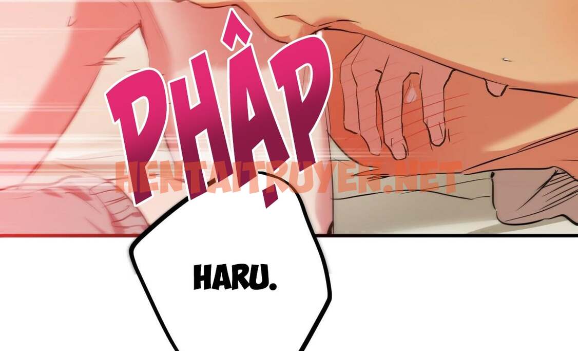 Xem ảnh Những Chú Thỏ Của Hapypy - Chap 38 - img_245_1656213182 - HentaiTruyenVN.net