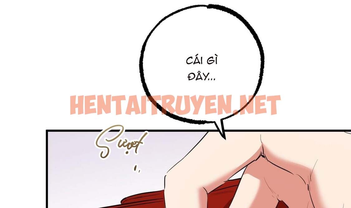 Xem ảnh Những Chú Thỏ Của Hapypy - Chap 39 - img_030_1656810384 - TruyenVN.APP