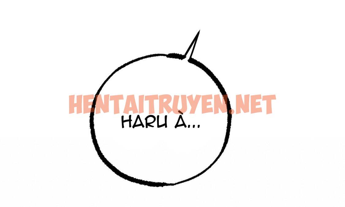 Xem ảnh Những Chú Thỏ Của Hapypy - Chap 39 - img_254_1656810790 - TruyenVN.APP