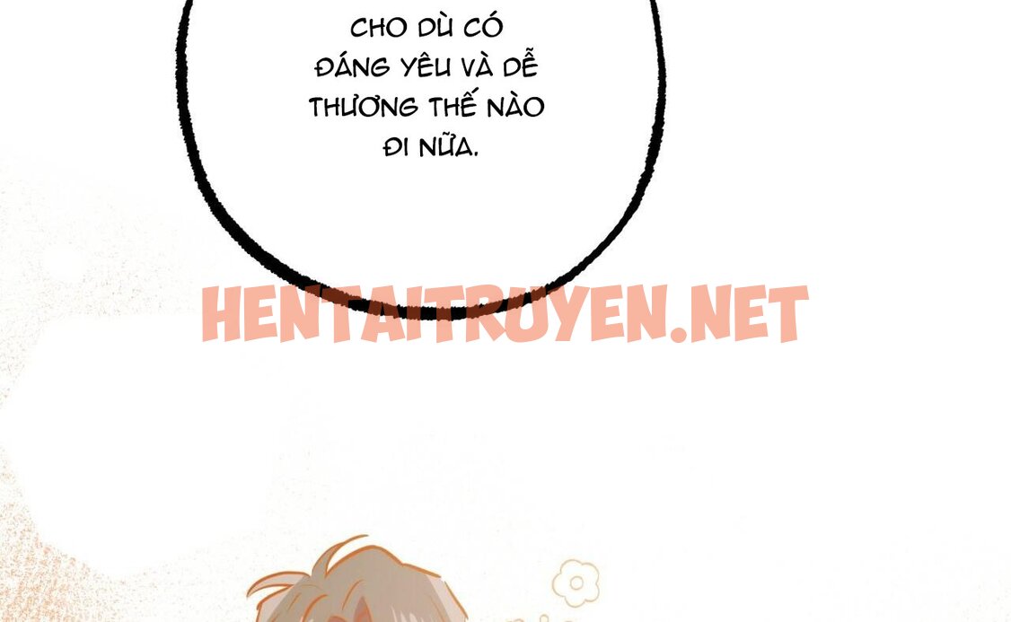 Xem ảnh Những Chú Thỏ Của Hapypy - Chap 41 - img_021_1657996724 - TruyenVN.APP