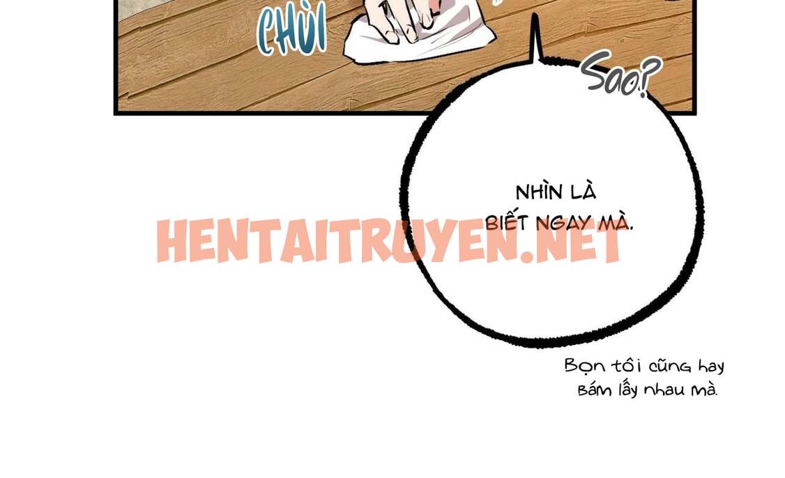 Xem ảnh Những Chú Thỏ Của Hapypy - Chap 41 - img_054_1657996794 - TruyenVN.APP