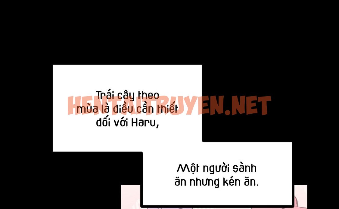 Xem ảnh Những Chú Thỏ Của Hapypy - Chap 41 - img_203_1657997165 - HentaiTruyen.net