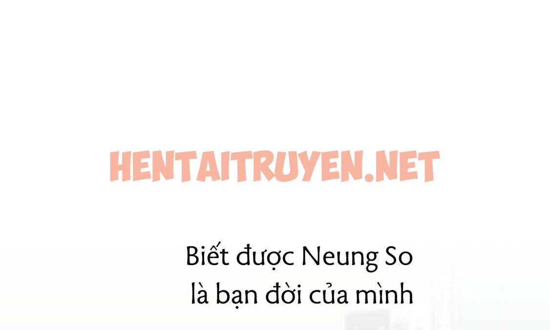 Xem ảnh Những Chú Thỏ Của Hapypy - Chap 43 - img_275_1659234078 - HentaiTruyen.net