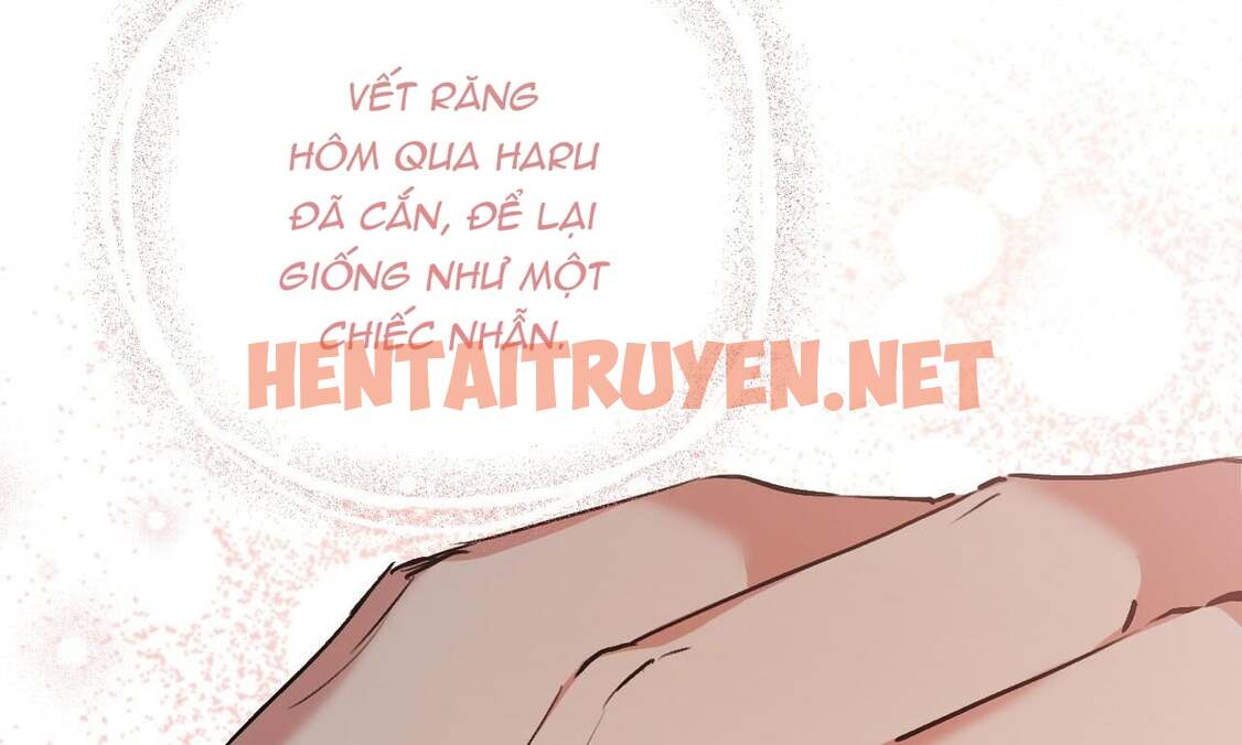 Xem ảnh Những Chú Thỏ Của Hapypy - Chap 44 - img_026_1659803669 - HentaiTruyen.net