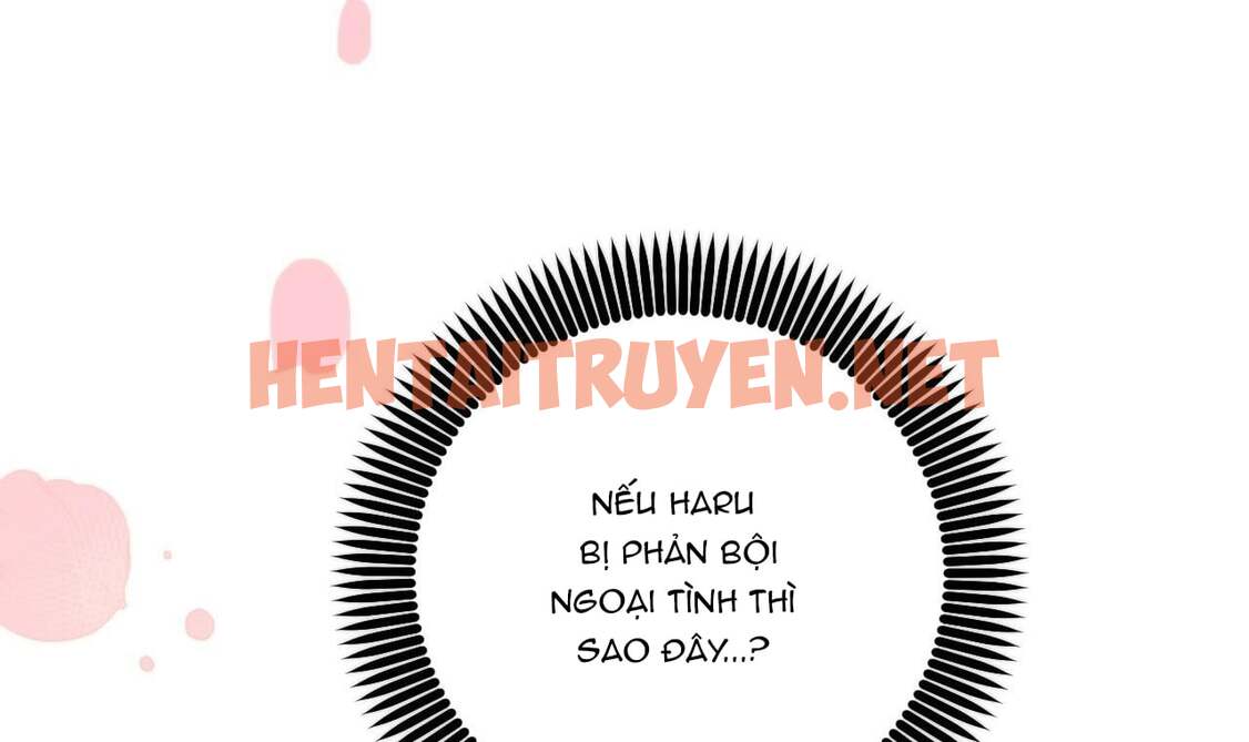 Xem ảnh Những Chú Thỏ Của Hapypy - Chap 44 - img_126_1659803901 - TruyenVN.APP