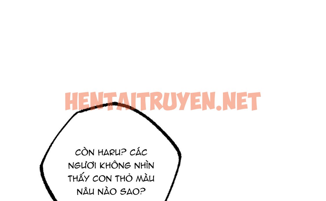 Xem ảnh Những Chú Thỏ Của Hapypy - Chap 46 - img_044_1661009715 - TruyenVN.APP