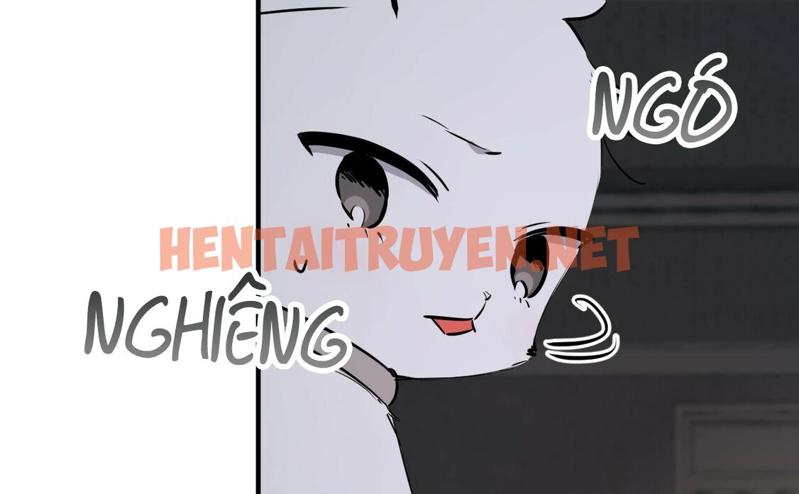 Xem ảnh Những Chú Thỏ Của Hapypy - Chap 46 - img_046_1661009718 - TruyenVN.APP