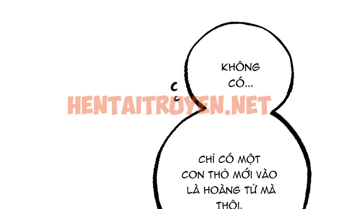 Xem ảnh Những Chú Thỏ Của Hapypy - Chap 46 - img_049_1661009722 - TruyenVN.APP