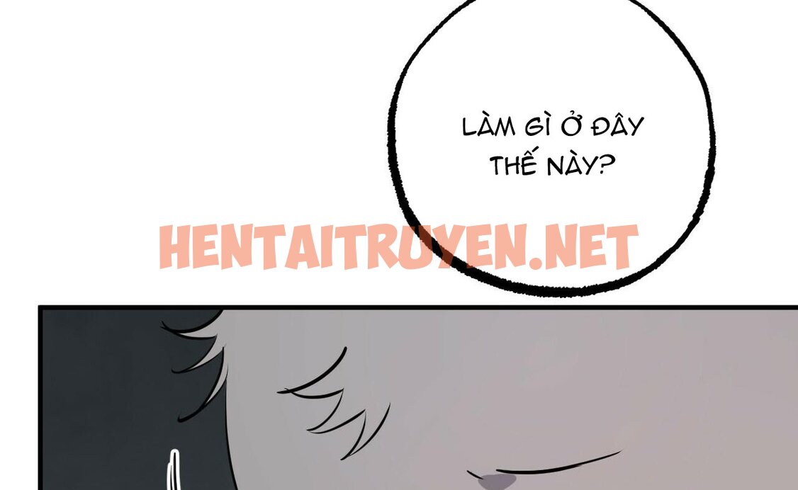 Xem ảnh Những Chú Thỏ Của Hapypy - Chap 46 - img_057_1661009737 - TruyenVN.APP