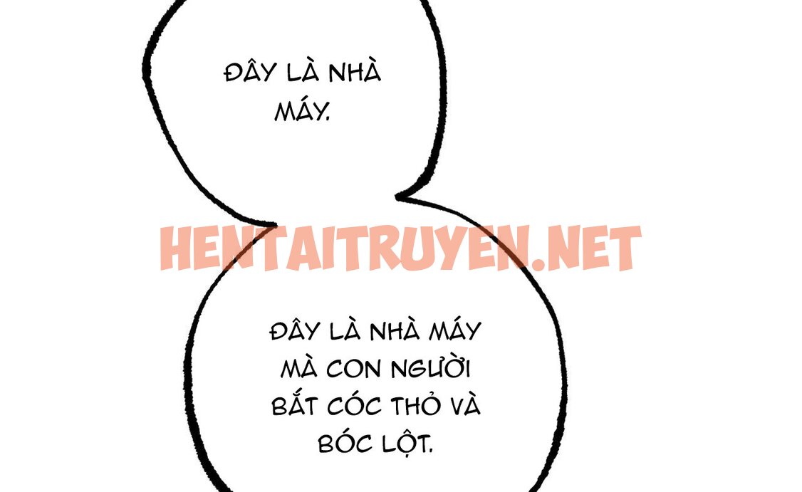 Xem ảnh Những Chú Thỏ Của Hapypy - Chap 46 - img_060_1661009742 - TruyenVN.APP