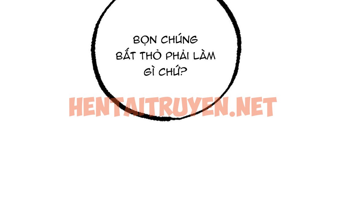 Xem ảnh Những Chú Thỏ Của Hapypy - Chap 46 - img_063_1661009748 - TruyenVN.APP